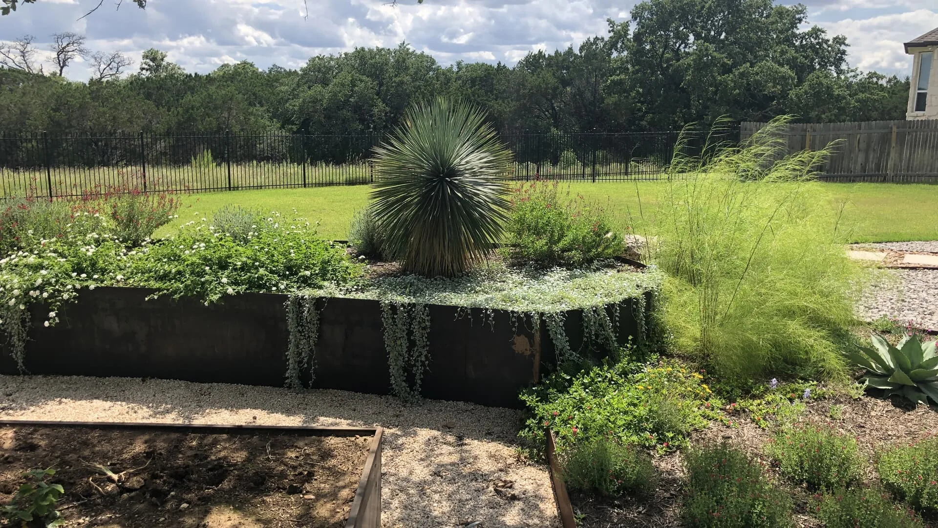 landscaping company austin tx